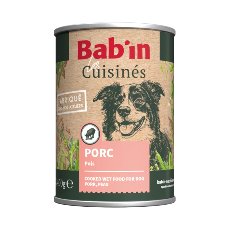 Bab